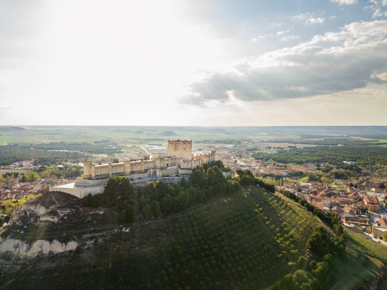 Wine tour Spain